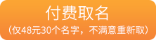 付费取名
